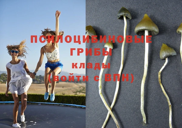 хмурый Рославль