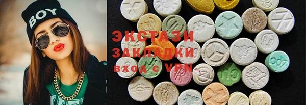 хмурый Рославль