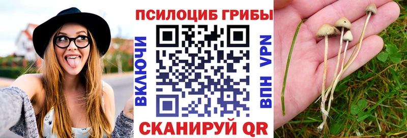 Псилоцибиновые грибы GOLDEN TEACHER  Купить  Шебекино 